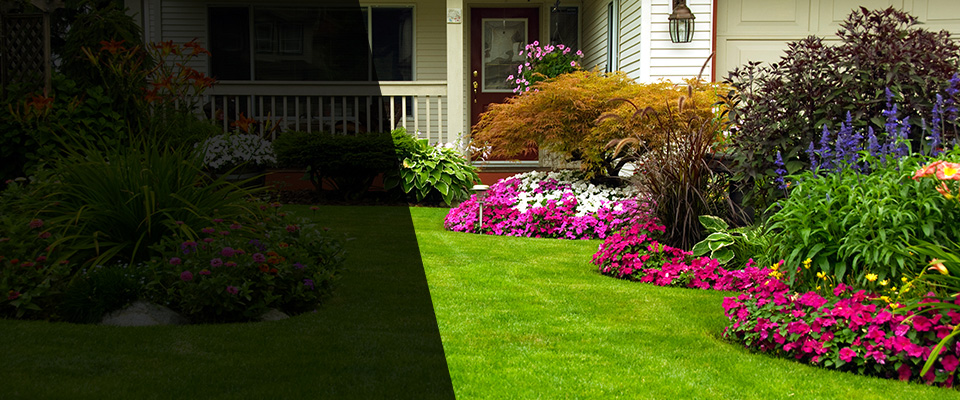 Barrington Landscapers